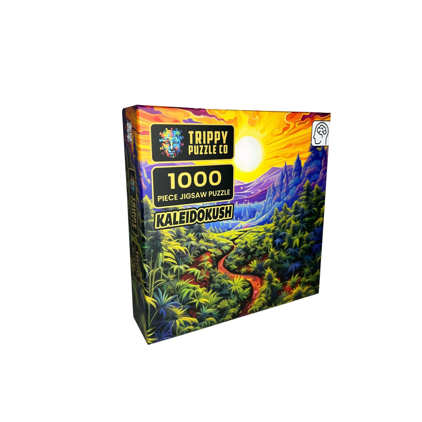 Kaleidokush 1000 pce Jigsaw Puzzle