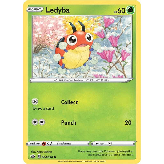 Ledyba