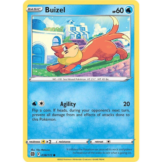 Buizel
