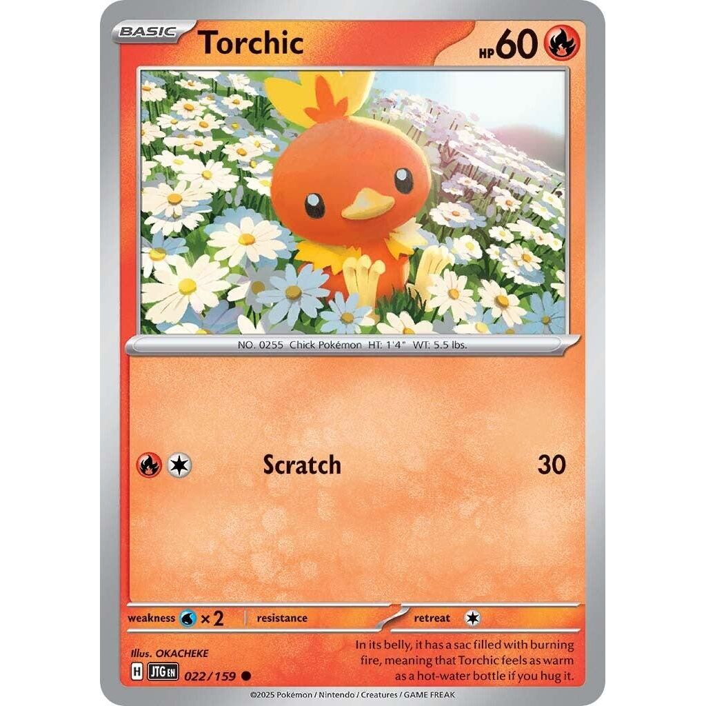 Torchic