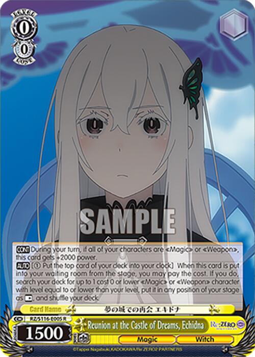 Reunion at the Castle of Dreams, Echidna