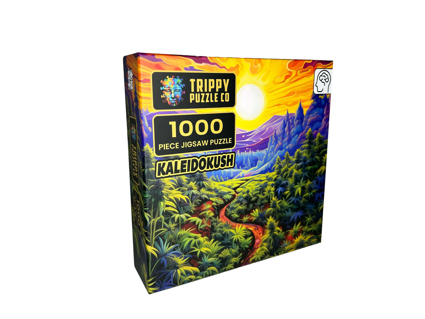 Kaleidokush 1000 pce Jigsaw Puzzle